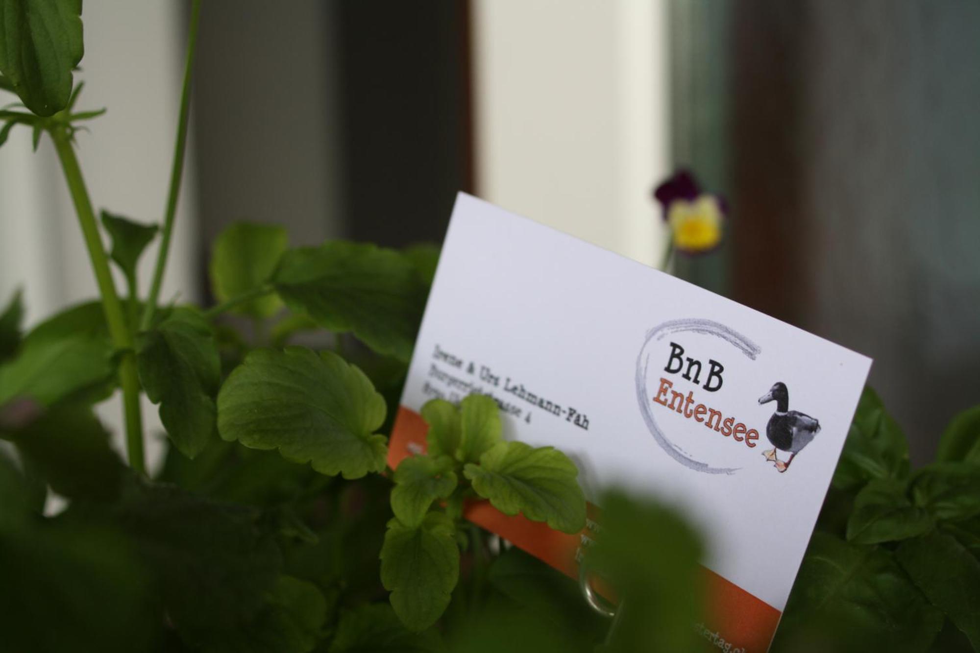 Bnb Entensee Uznach Bagian luar foto