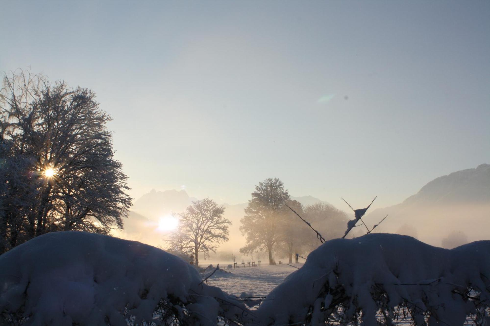 Bnb Entensee Uznach Bagian luar foto